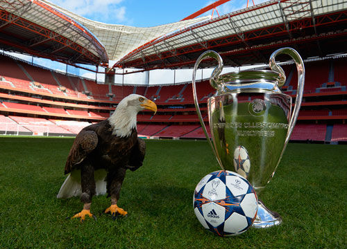 《忍龙4》发售与9千人大裁员 盘点2025年Xbox大事件